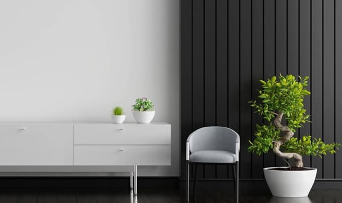 Virgo Laminates